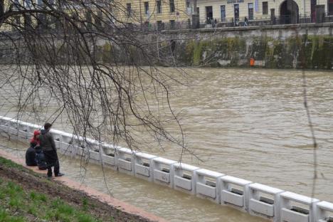 Peste 600 de hectare de teren inundate după ploile din weekend (FOTO)