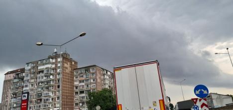 Furtună și vânt puternic în Oradea: copaci căzuți pe mai multe străzi, o tablă de acoperiș s-a desprins în Piața Unirii (FOTO / VIDEO)
