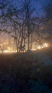 Pompieri, pădurari și voluntari se luptă cu flăcările, în pădurea de lângă Vintere. Prefectul de Bihor: „Focul nu este în apropierea caselor” (FOTO/VIDEO)