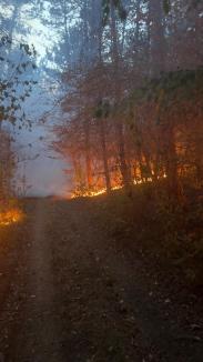 Pompieri, pădurari și voluntari se luptă cu flăcările, în pădurea de lângă Vintere. Prefectul de Bihor: „Focul nu este în apropierea caselor” (FOTO/VIDEO)