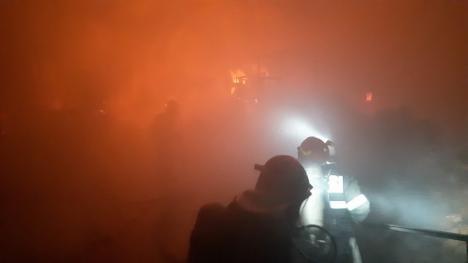 Pagube imense în urma incendiului de la Salonta. Patronii au ajuns la spital (FOTO)