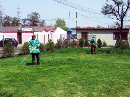 Asociaţiile de proprietari vor fi obligate să preia spaţiile verzi şi să le cosească de iarbă