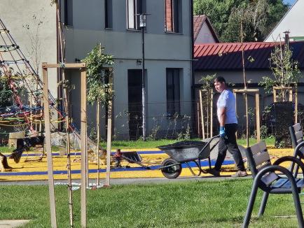 Amenajarea Parcului Rectorului din cartierul Episcopia Bihor se apropie de finalizare (FOTO)