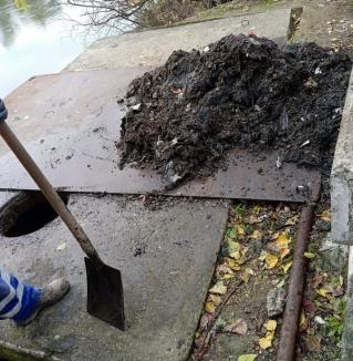 Angajații Companiei de Apă Oradea au scos o remorcă de gunoaie din canalizarea colmatată din strada Sovata (FOTO)