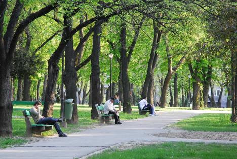 Parcul 1 Decembrie din Oradea va fi reabilitat, cu păstrarea arborilor maturi şi a aleilor principale (FOTO)