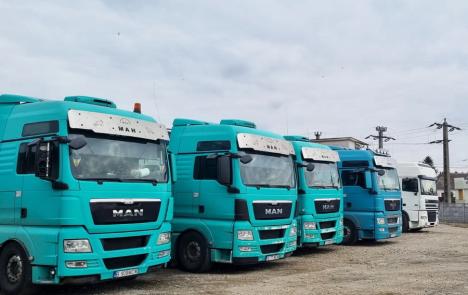 'Bombă ecologică': Patru camioane cu soia modificată genetic au dispărut peste noapte din Valea lui Mihai