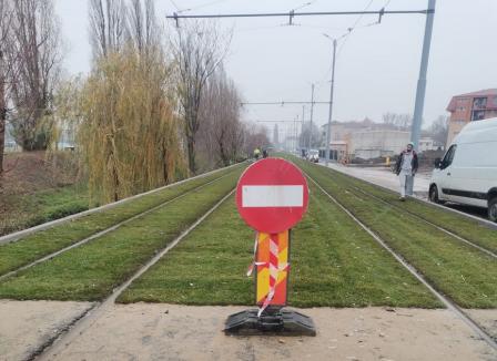 Drum bun! Gazonul dintre noile linii de tramvai din Oradea, 'faultat' de GPS (FOTO)