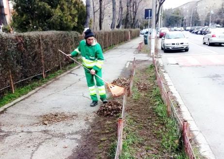 Campania de curățenie în Oradea. 38,5 tone de deșeuri au fost adunate din cartierele orașului (FOTO)