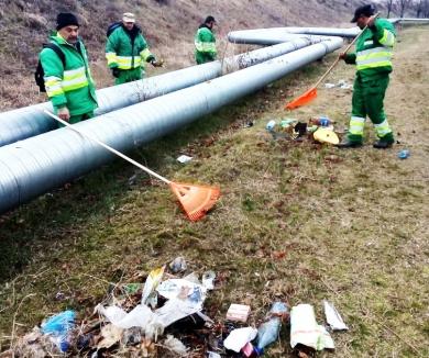 Campania de curățenie în Oradea. 38,5 tone de deșeuri au fost adunate din cartierele orașului (FOTO)