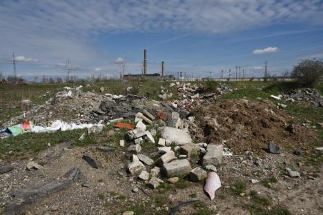 Regatul gunoaielor: În jurul Oradiei au apărut hectare întinse cu mizerii! Primăria, somată să le ridice (FOTO)