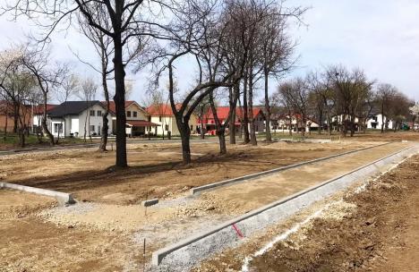 A început amenajarea parcului Tineretului din Oradea, cu termen de finalizare în vară (FOTO)