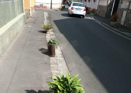 Locuitorii unei străzi din Oradea au montat jardiniere cu flori pentru a împiedica maşinile să urce pe trotuar (FOTO)