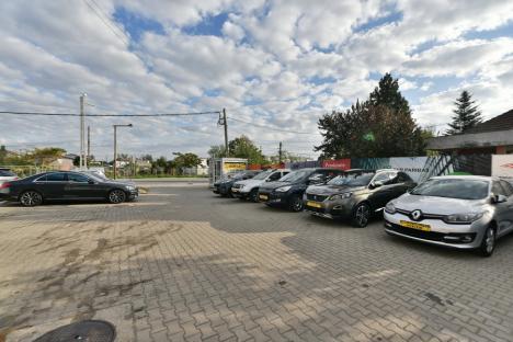 Te punem pe roate! Provoauto, cel mai mare parc auto second-hand, și-a deschis punct de lucru în Piața 100 din Oradea (FOTO)