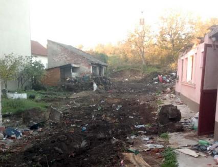 Primăria Oradea a început demolarea caselor preluate pentru amenajarea parcului din strada Rectorului. Urmează noi exproprieri! (FOTO)