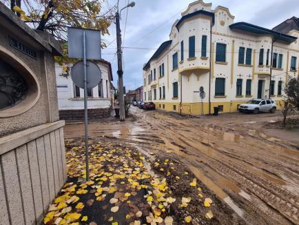 Noroaie cât vezi cu ochii! Străzile din Oradea pe care mocirla domneşte de săptămâni bune (FOTO)