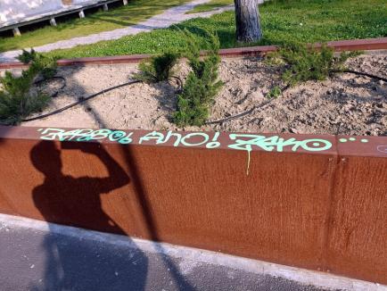 La mâna vandalilor: Numărul distrugerilor s-a dublat în Oradea, după ce Primăria a renunțat la paznicii din parcuri (FOTO/VIDEO)