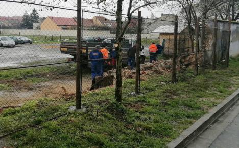 Zidul parcării din Oradea în care se strâng mașinile ridicate de pe străzi s-a prăbușit (FOTO)