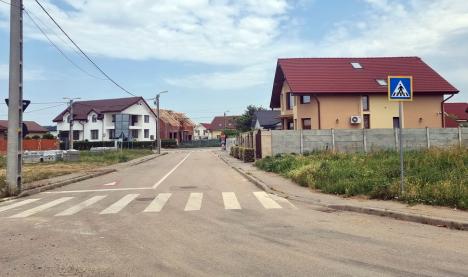 „Suntem blocaţi!”. Locuitorii cartierului Grigorescu se plâng că nu pot intra cu maşinile în curți din cauza șanțurilor (FOTO/VIDEO)