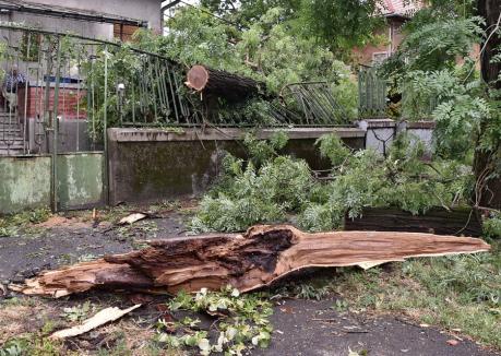 Propunere PSD Bihor: Scutire de impozit pentru orădenii afectaţi de furtuna din 25 iulie