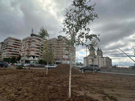 Se fac plantări în viitoarea piaţetă Gojdu de deasupra pasajelor din centrul Oradiei (FOTO/VIDEO)