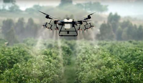 Viitorul e aici! Dronele ar putea ajuta la depăşirea crizei angajaţilor în agricultura bihoreană (FOTO)