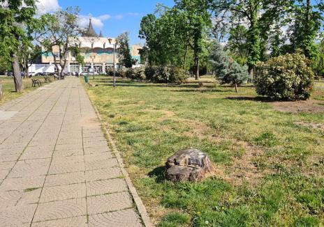 Reabilitarea Parcului 1 Decembrie din Oradea va fi cofinanţată cu 4 milioane de euro din fonduri europene (FOTO)