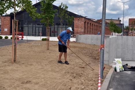 Construcţia primei hale din Piaţa Cetate va fi finalizată în iulie (FOTO)