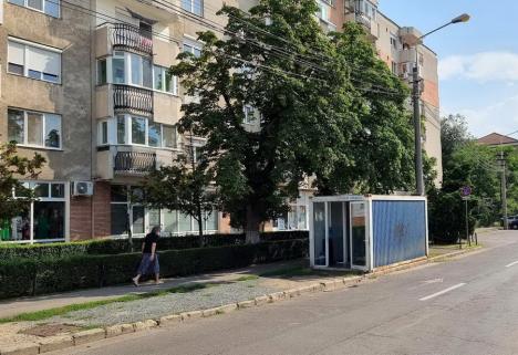 Trei containere anti-caniculă au fost deschise în zone aglomerate din Oradea (FOTO)