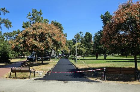 Parcul Olosig va avea pistă din tartan pentru alergare cel târziu săptămâna viitoare (FOTO)