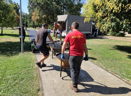 Parcul Olosig va avea pistă din tartan pentru alergare cel târziu săptămâna viitoare (FOTO)