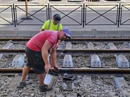 „Un termen strâns”: Muncitorii lucrează și ziua, și noaptea pentru ca tramvaiele să poată circula pe Calea Aradului, din 9 septembrie (FOTO)