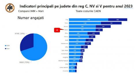 „Nu suntem buricul lumii. Judeţul Sălaj este cu mult peste noi”. O nouă analiză realizată de AFB arată starea economiei din Bihor