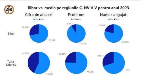 „Nu suntem buricul lumii. Judeţul Sălaj este cu mult peste noi”. O nouă analiză realizată de AFB arată starea economiei din Bihor