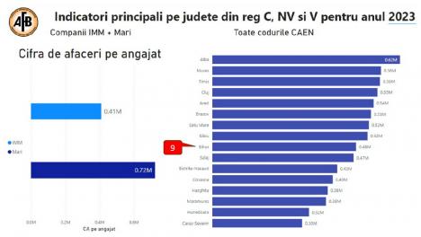 „Nu suntem buricul lumii. Judeţul Sălaj este cu mult peste noi”. O nouă analiză realizată de AFB arată starea economiei din Bihor