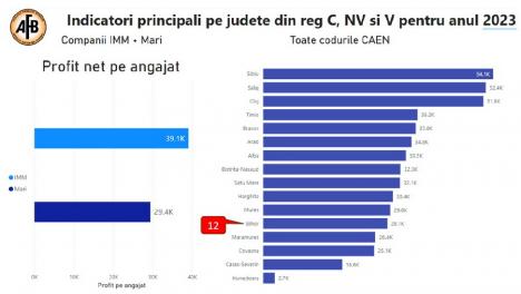 „Nu suntem buricul lumii. Judeţul Sălaj este cu mult peste noi”. O nouă analiză realizată de AFB arată starea economiei din Bihor