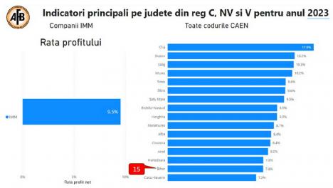 „Nu suntem buricul lumii. Judeţul Sălaj este cu mult peste noi”. O nouă analiză realizată de AFB arată starea economiei din Bihor