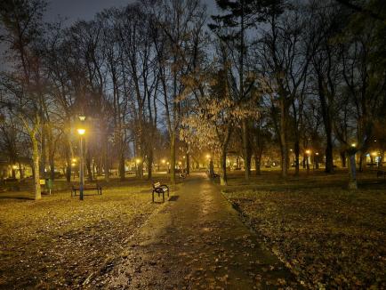 Sărbători ultracentrale: Ca să nu facă risipă, Primăria Oradea a limitat iluminatul de Crăciun la centrul orașului (FOTO)