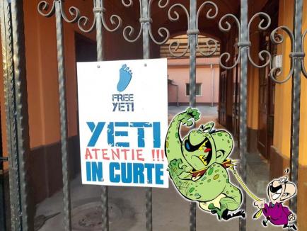 Yeti de Oradea: Atenție, nu intrați, monstru rău!