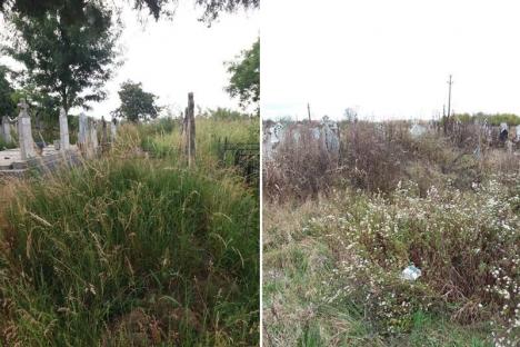 Cimitir ca-n junglă: În cimitirul din Talpoş bălăriile sunt mai înalte decât crucile mormintelor