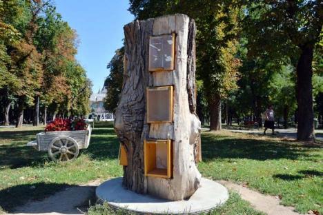Biblioteci cu minus: Copacii cu cărţi, 'jefuiţi' de volume