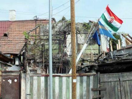 Sărăcie cu nielcoşag: Ce steaguri şi-a arborat un orădean de etnie maghiară pe cocioabă