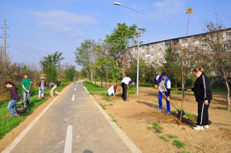 Toamna se numără puieţii: RER Ecologic Service va planta în oraş aproape 800 de copaci (FOTO)