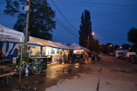 Serbările Cetăţii 2012: Concertele de vineri au strâns puţini orădeni (FOTO)