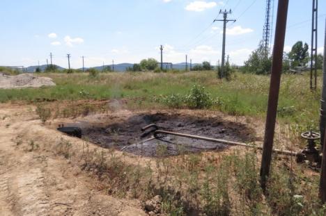 Otrava neagră: Petrom poluează aerul, apa şi pământurile localnicilor din Suplac (FOTO)