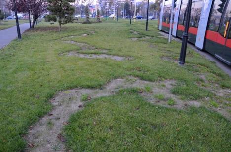 Atac la gazon: Un vandal a aruncat cu ierbicid peste iarba din scuaruri (FOTO)