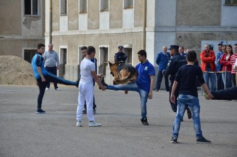 Focuri de armă, câini de intervenţie şi lupte în curtea Jandarmeriei, de ziua instituţiei (FOTO/VIDEO)