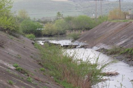 Sabotaj sau prostie? "Doreii" de la Hidroserv au lăsat comuna Lugaşu de Jos fără apă potabilă (FOTO)