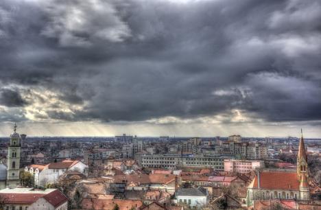 Vremea ploioasă obligă Poliţia Locală Oradea să amâne 'plantarea' arborelui reciclat