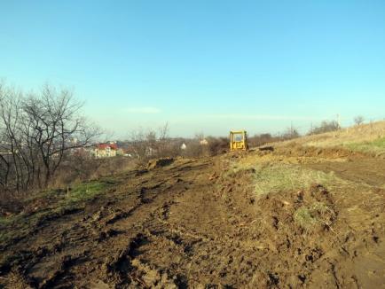 Va fi grădină publică! Abed Nego a început amenajarea zonei de agrement de pe dealul Ciuperca (FOTO)
