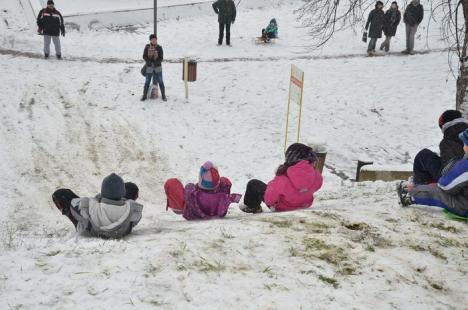 Bihorul, fără probleme mari din cauza zăpezii. În Oradea s-a intervenit cu 21 de utilaje (FOTO)